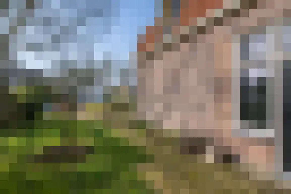 Nieuweweg 19 Melissant thumbnail 42