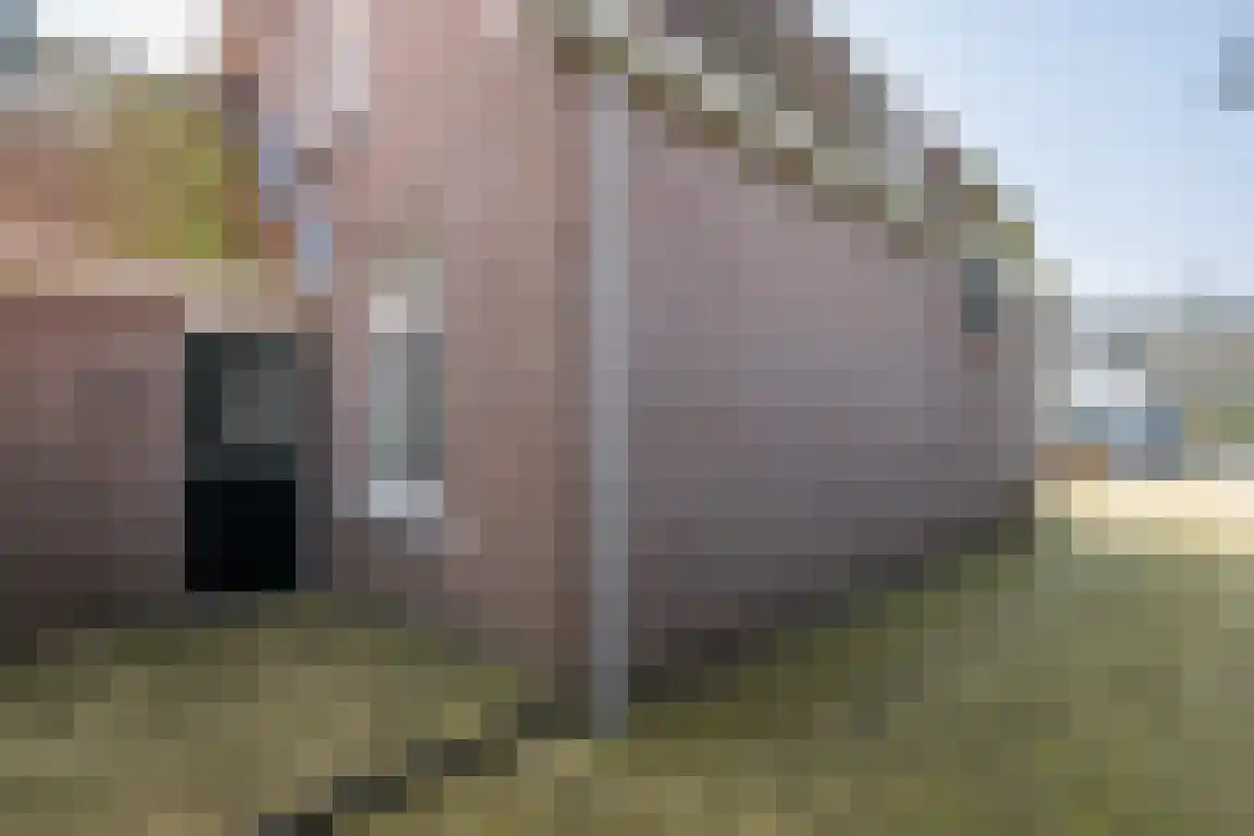 Nieuweweg 19 Melissant thumbnail 7