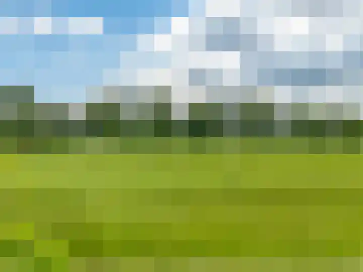 Nieuweweg 199 Hardinxveld-Giessendam thumbnail 22