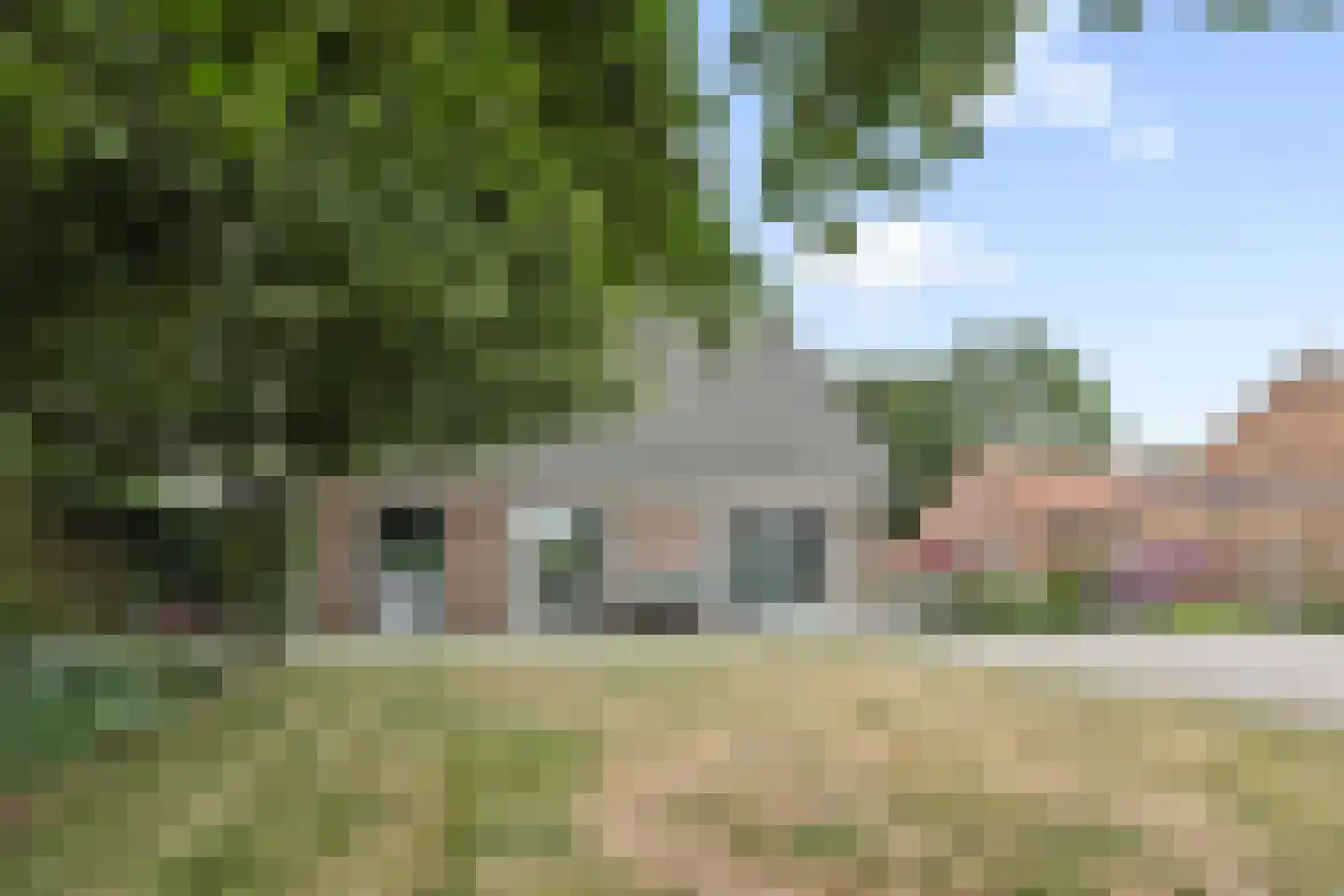 Nieuweweg 2 Maren-Kessel thumbnail 26