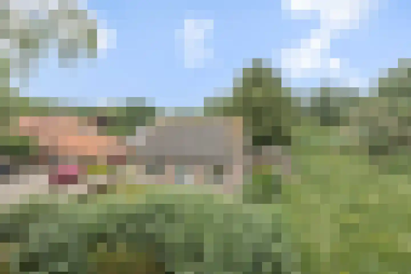 Nieuweweg 2 Maren-Kessel thumbnail 28