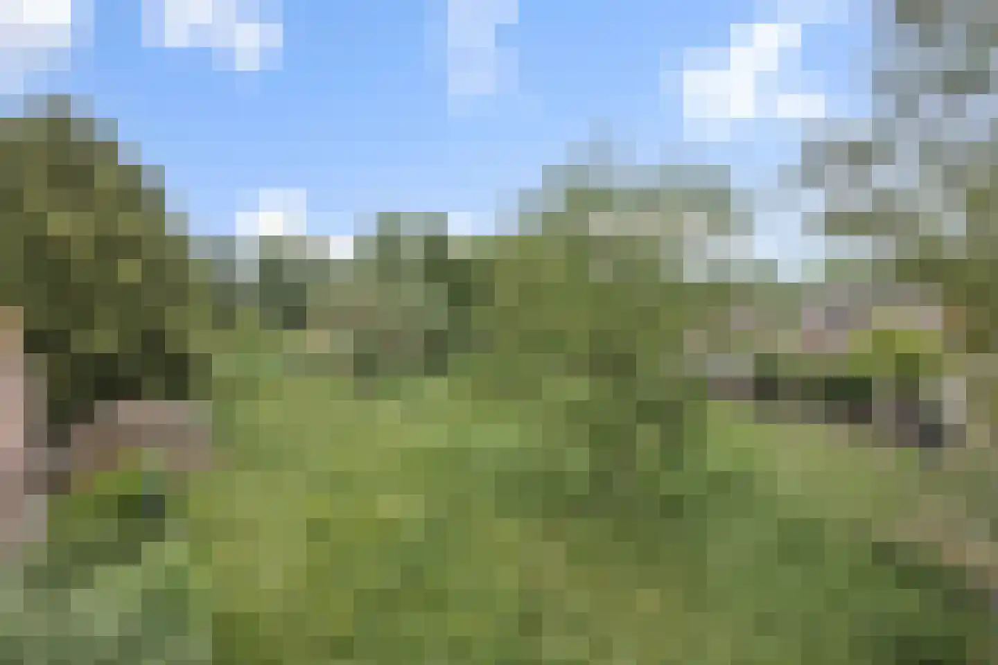 Nieuweweg 2 Maren-Kessel thumbnail 33