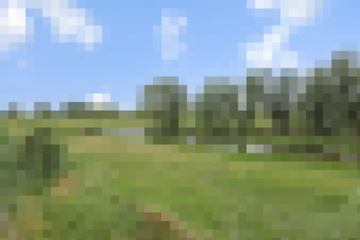 Nieuweweg 2 Maren-Kessel thumbnail 36