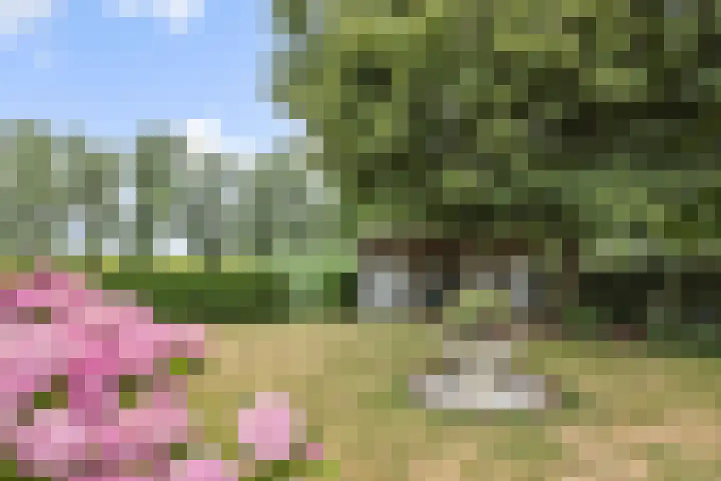 Nieuweweg 2 Maren-Kessel thumbnail 4