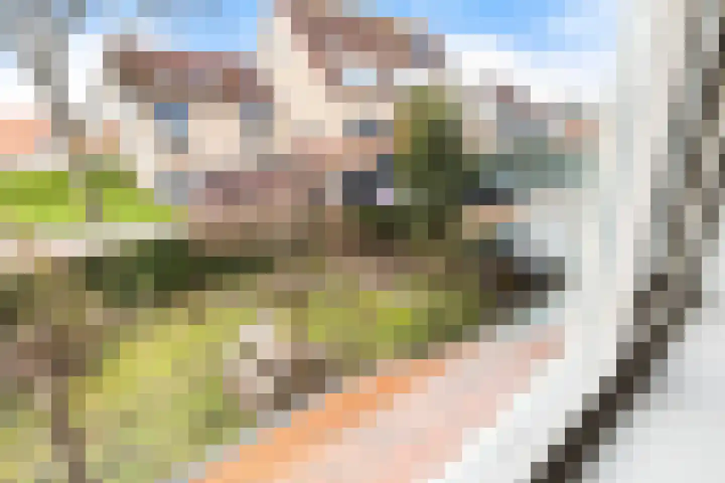 Nieuweweg 2 's-Gravendeel thumbnail 44