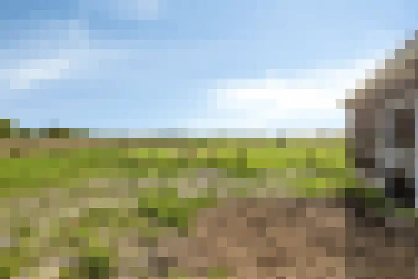 Nieuweweg 20 Baarland thumbnail 35