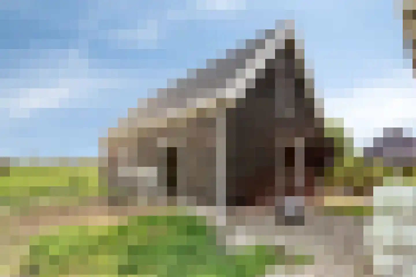 Nieuweweg 20 Baarland thumbnail 37