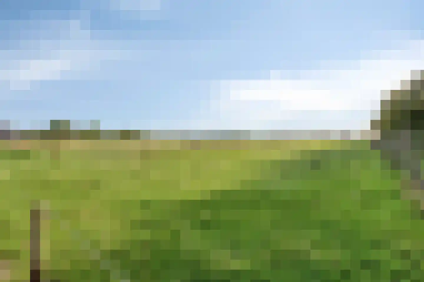 Nieuweweg 20 Baarland thumbnail 40