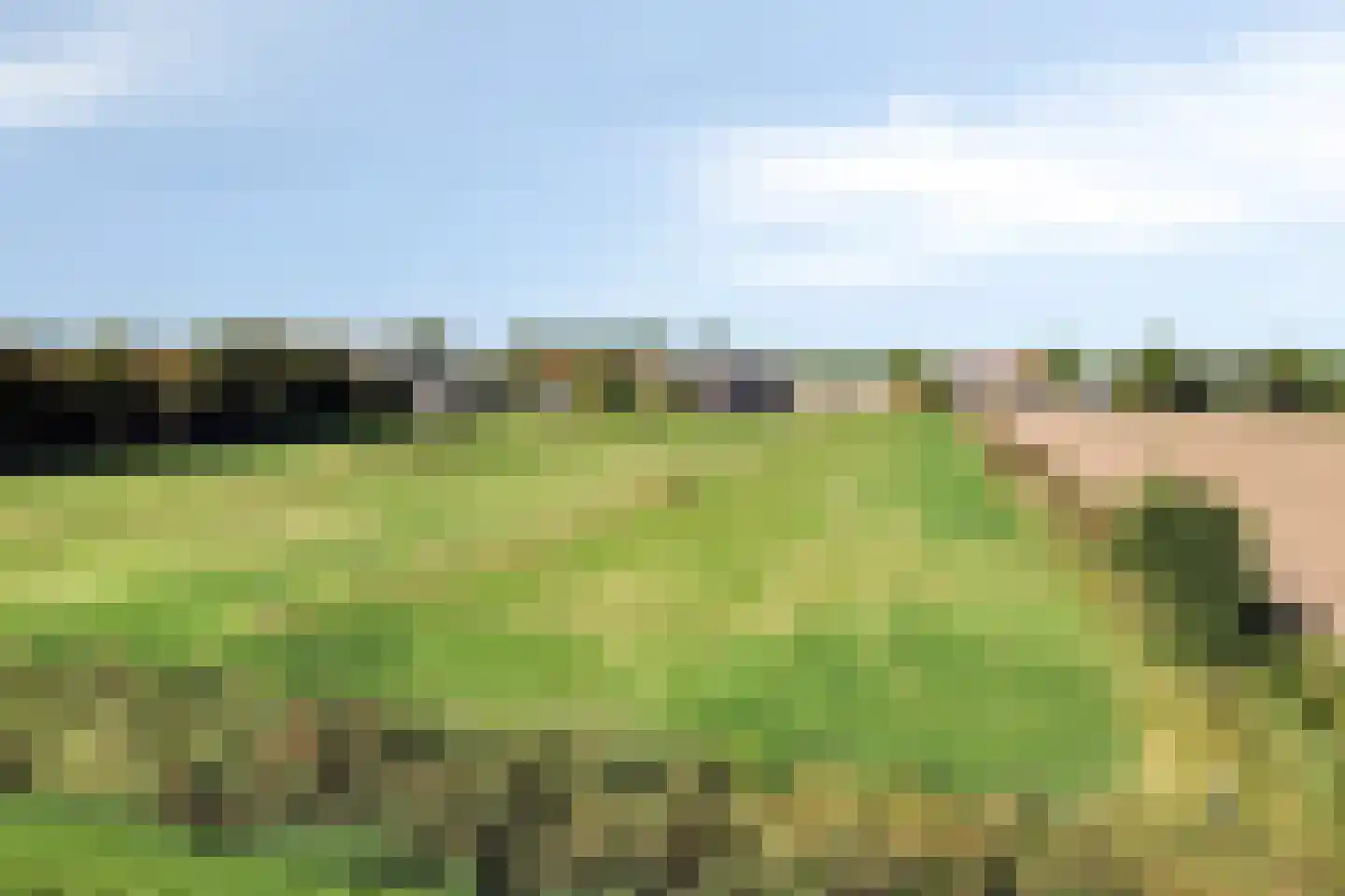 Nieuweweg 20 Baarland thumbnail 5