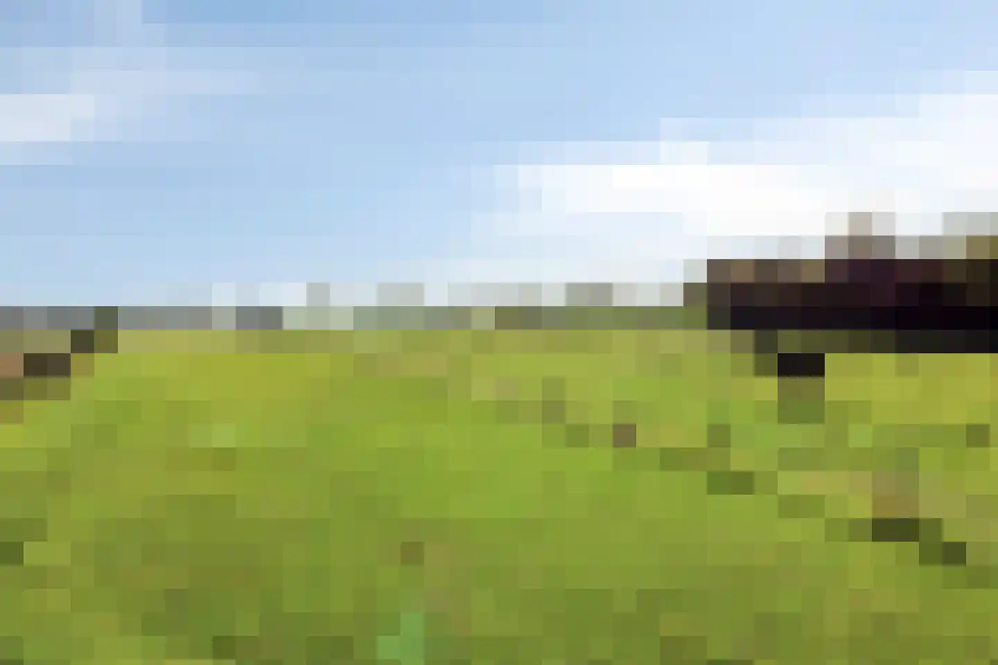 Nieuweweg 20 Baarland thumbnail 6