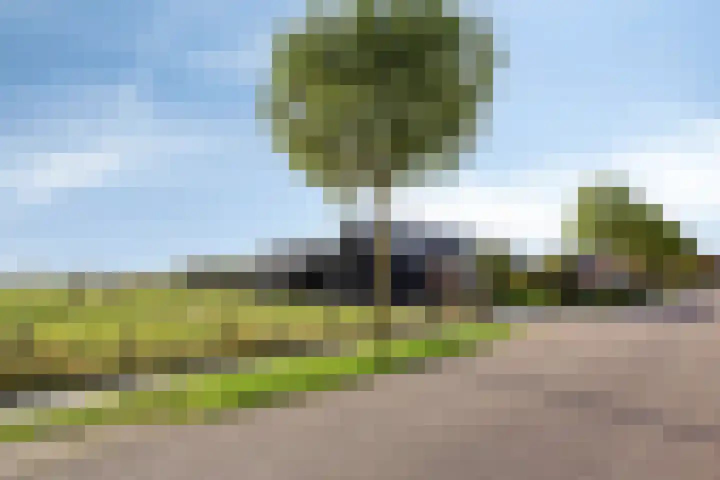 Nieuweweg 20 Baarland thumbnail 8