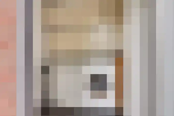 Nieuweweg 20 Wijk bij Duurstede thumbnail 10