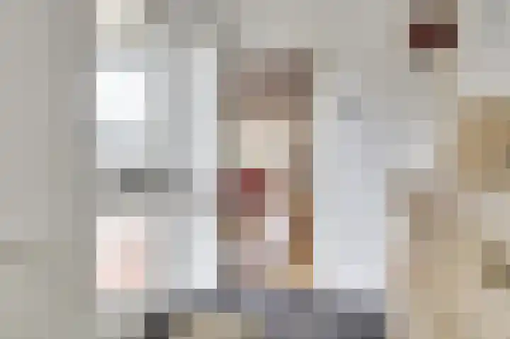 Nieuweweg 20 Wijk bij Duurstede thumbnail 12
