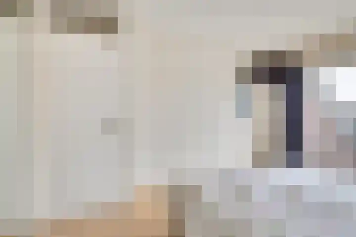Nieuweweg 20 Wijk bij Duurstede thumbnail 15
