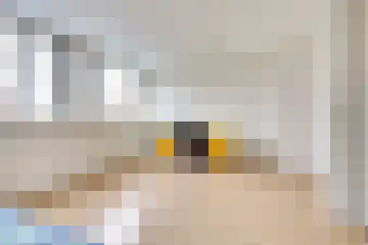 Nieuweweg 20 Wijk bij Duurstede thumbnail 20