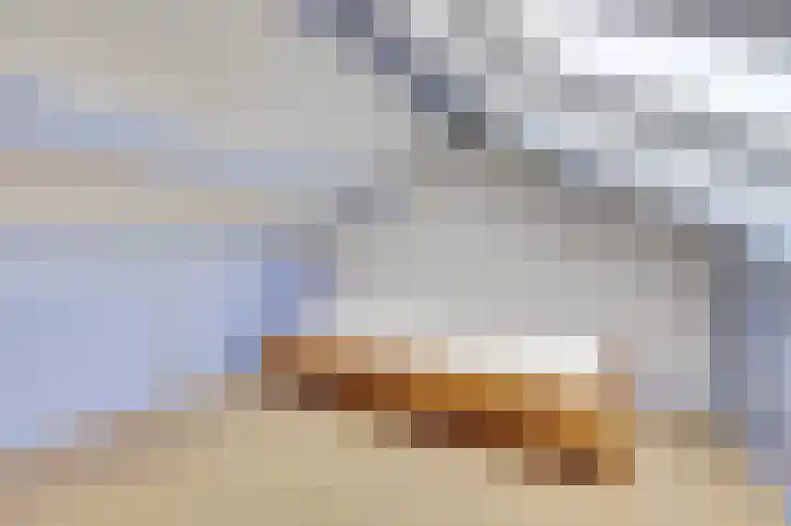 Nieuweweg 20 Wijk bij Duurstede thumbnail 26