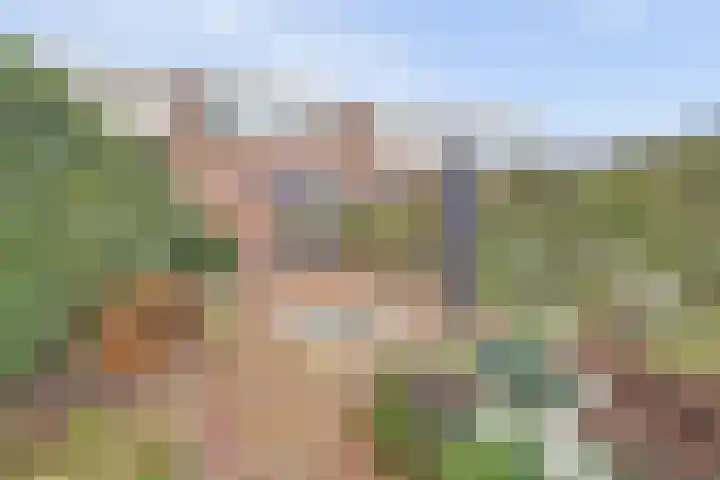 Nieuweweg 20 Wijk bij Duurstede thumbnail 30