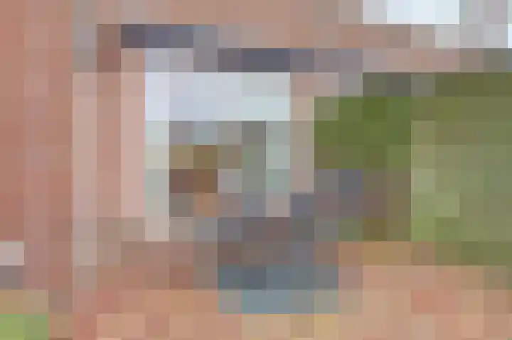 Nieuweweg 20 Wijk bij Duurstede thumbnail 33