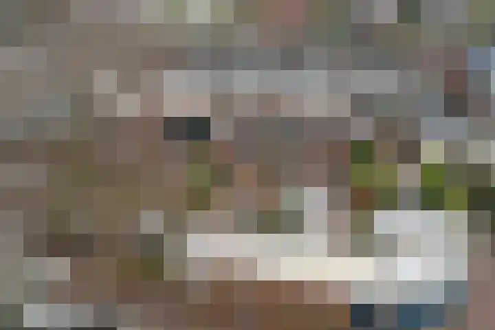 Nieuweweg 20 Wijk bij Duurstede thumbnail 34