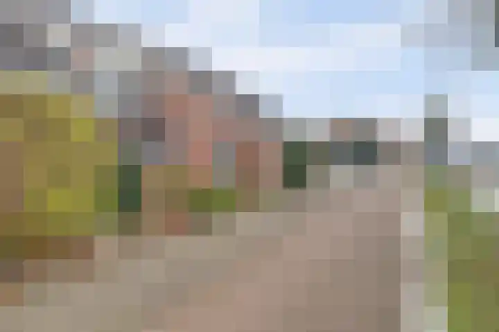 Nieuweweg 20 Wijk bij Duurstede thumbnail 35