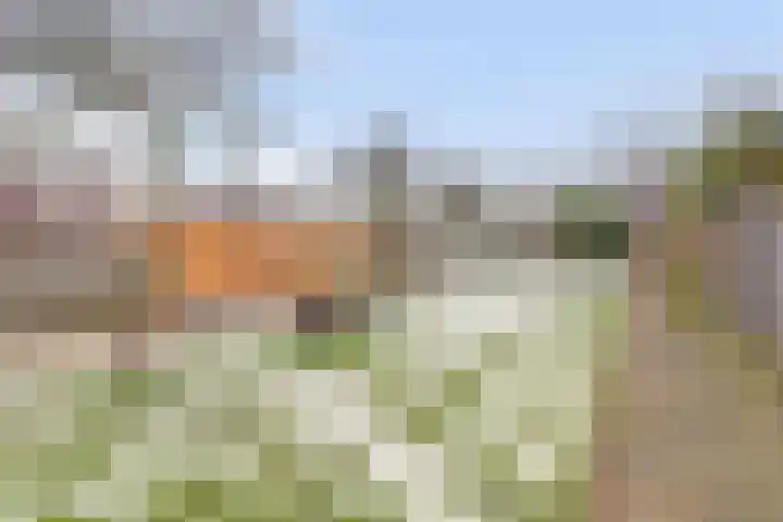 Nieuweweg 20 Wijk bij Duurstede thumbnail 38
