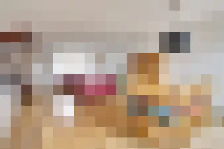 Nieuweweg 20 Wijk bij Duurstede thumbnail 4
