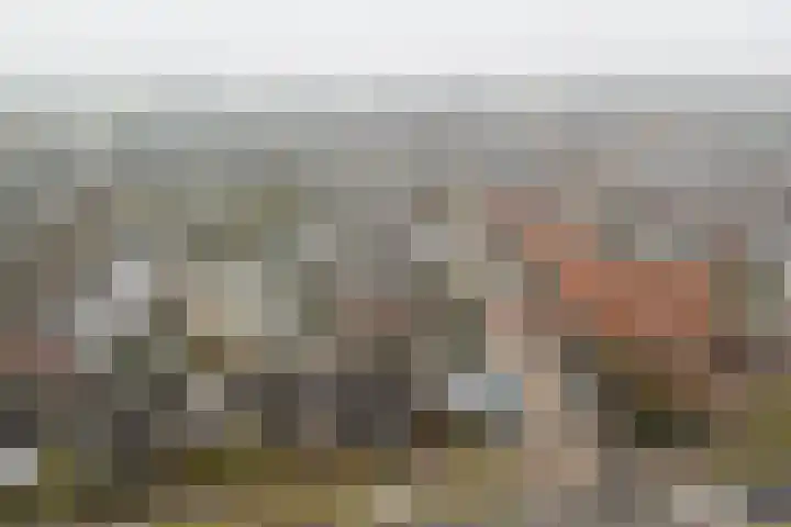 Nieuweweg 20 Wijk bij Duurstede thumbnail 40