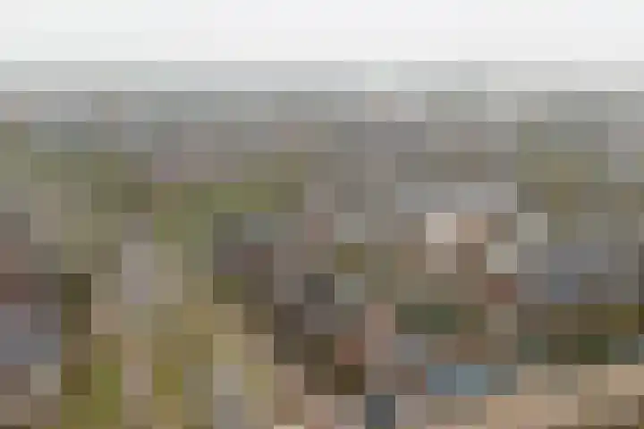 Nieuweweg 20 Wijk bij Duurstede thumbnail 41