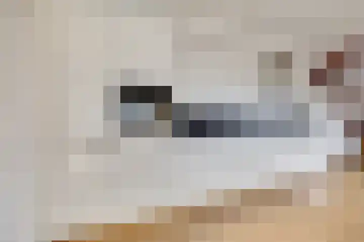 Nieuweweg 20 Wijk bij Duurstede thumbnail 7
