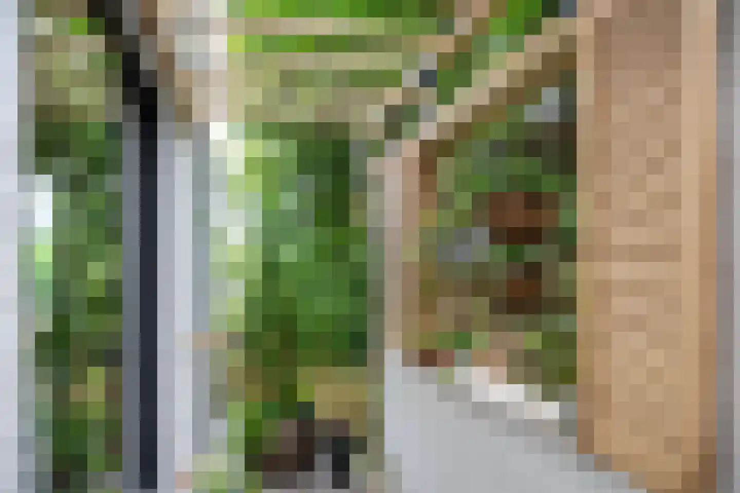 Nieuweweg 202 Valkenburg thumbnail 10