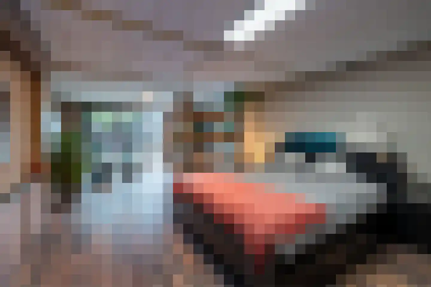 Nieuweweg 202 Valkenburg thumbnail 20