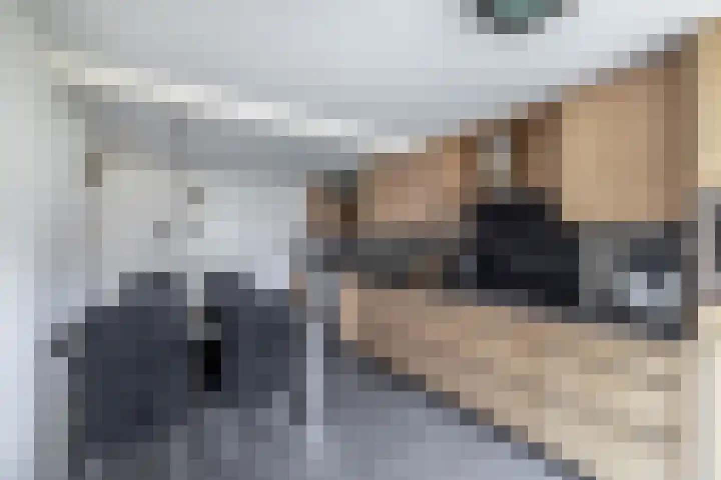 Nieuweweg 21 Melissant thumbnail 17