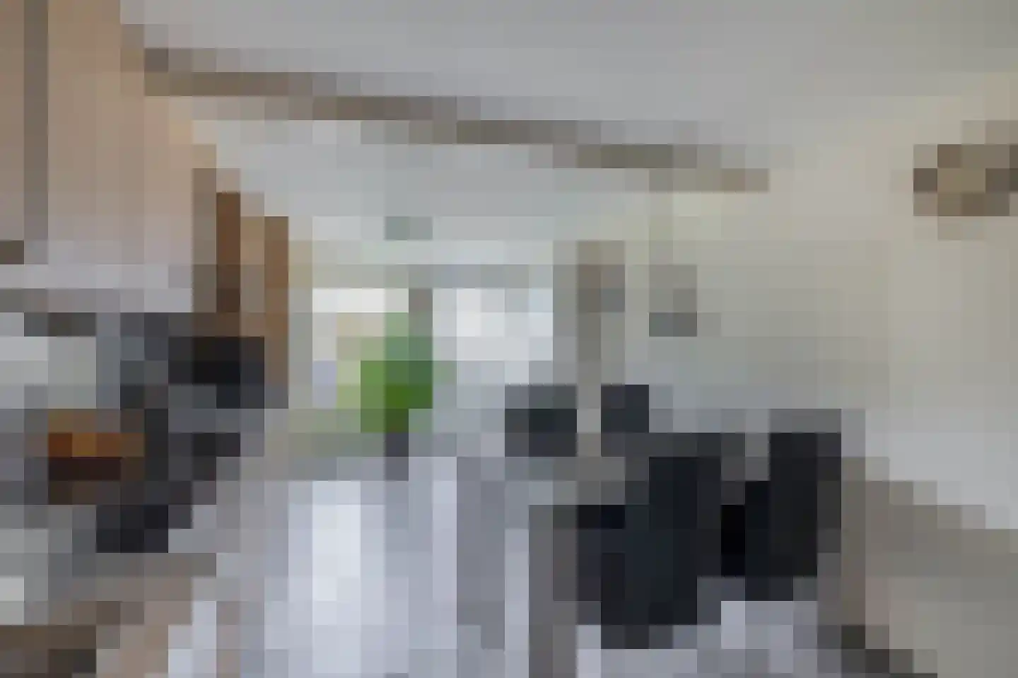 Nieuweweg 21 Melissant thumbnail 18