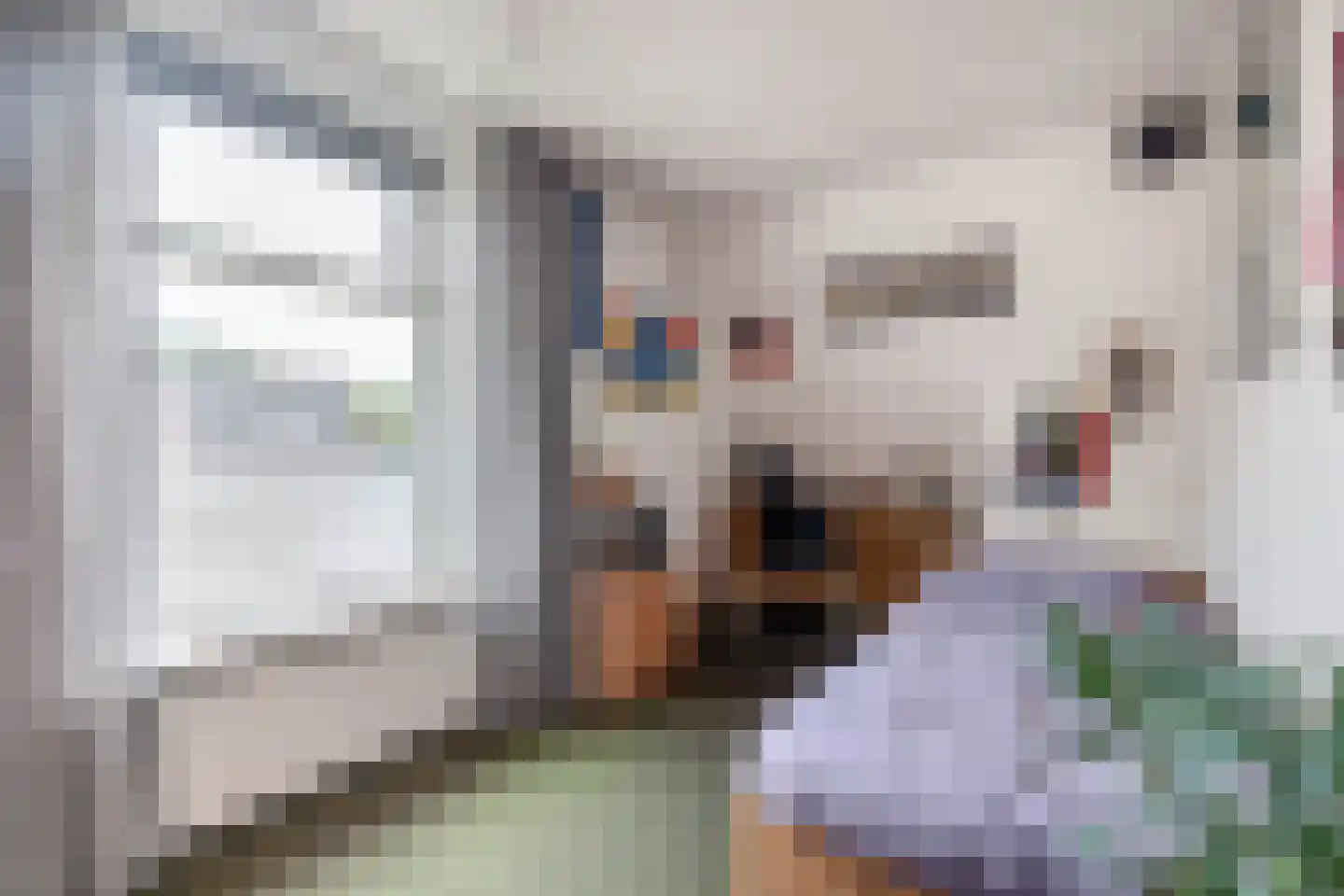 Nieuweweg 21 Melissant thumbnail 27