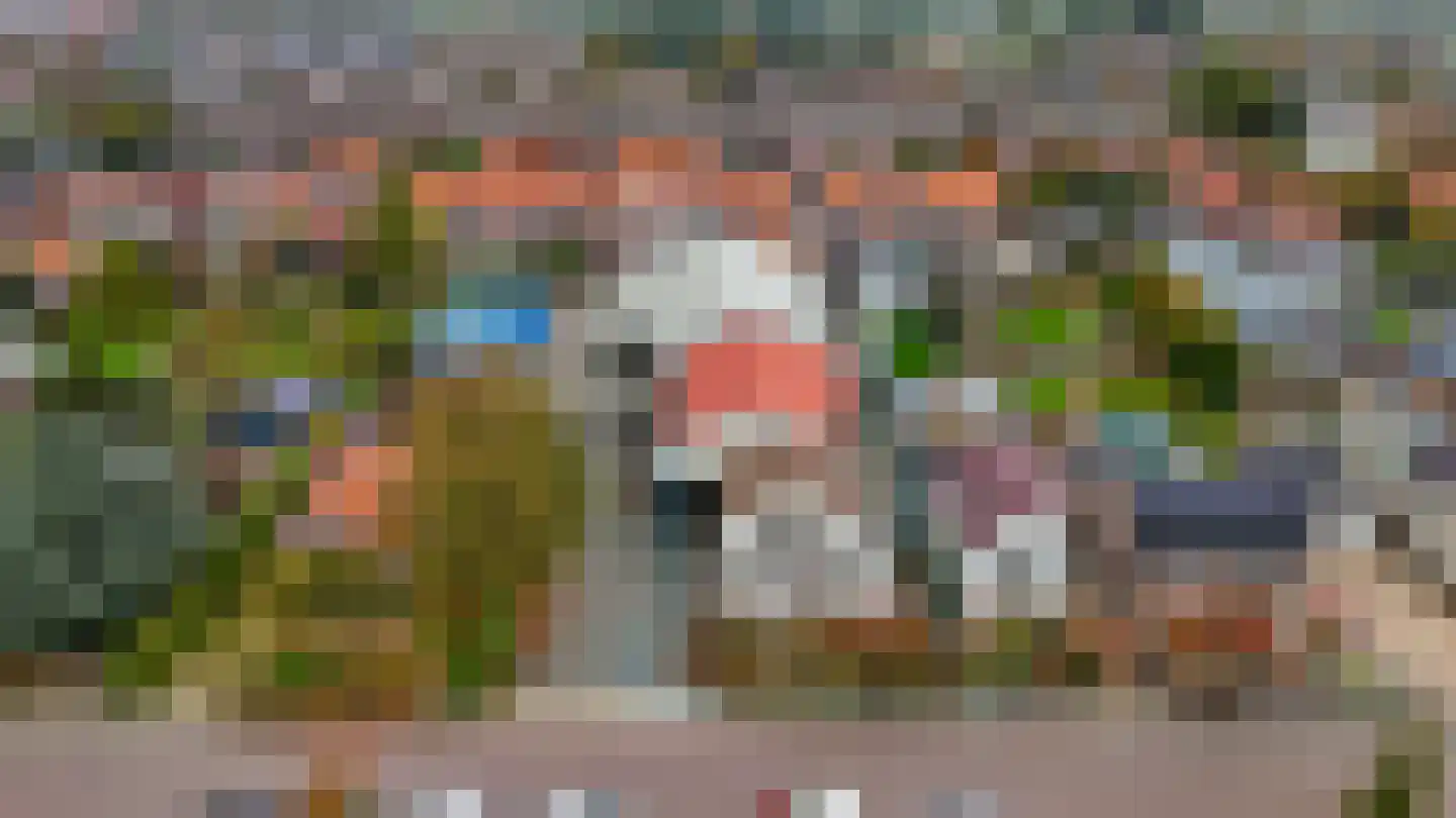 Nieuweweg 21 Melissant thumbnail 30