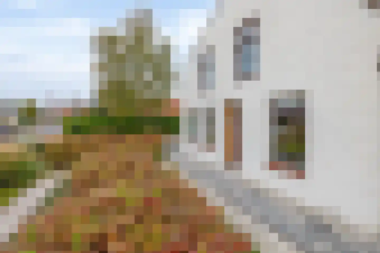 Nieuweweg 21 Melissant thumbnail 4
