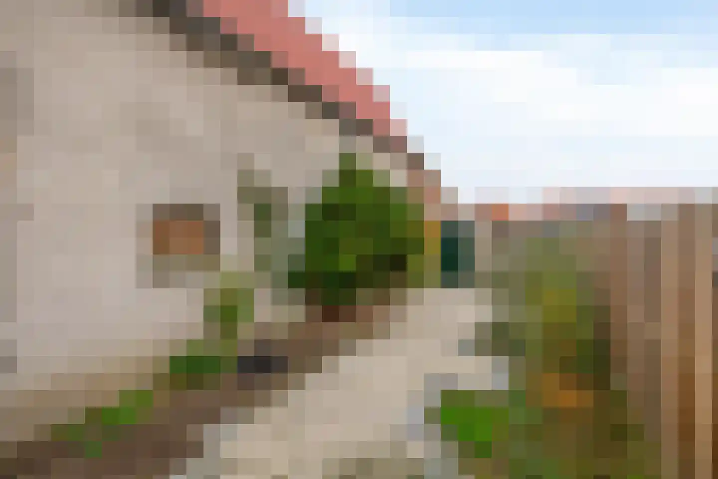 Nieuweweg 21 Melissant thumbnail 40