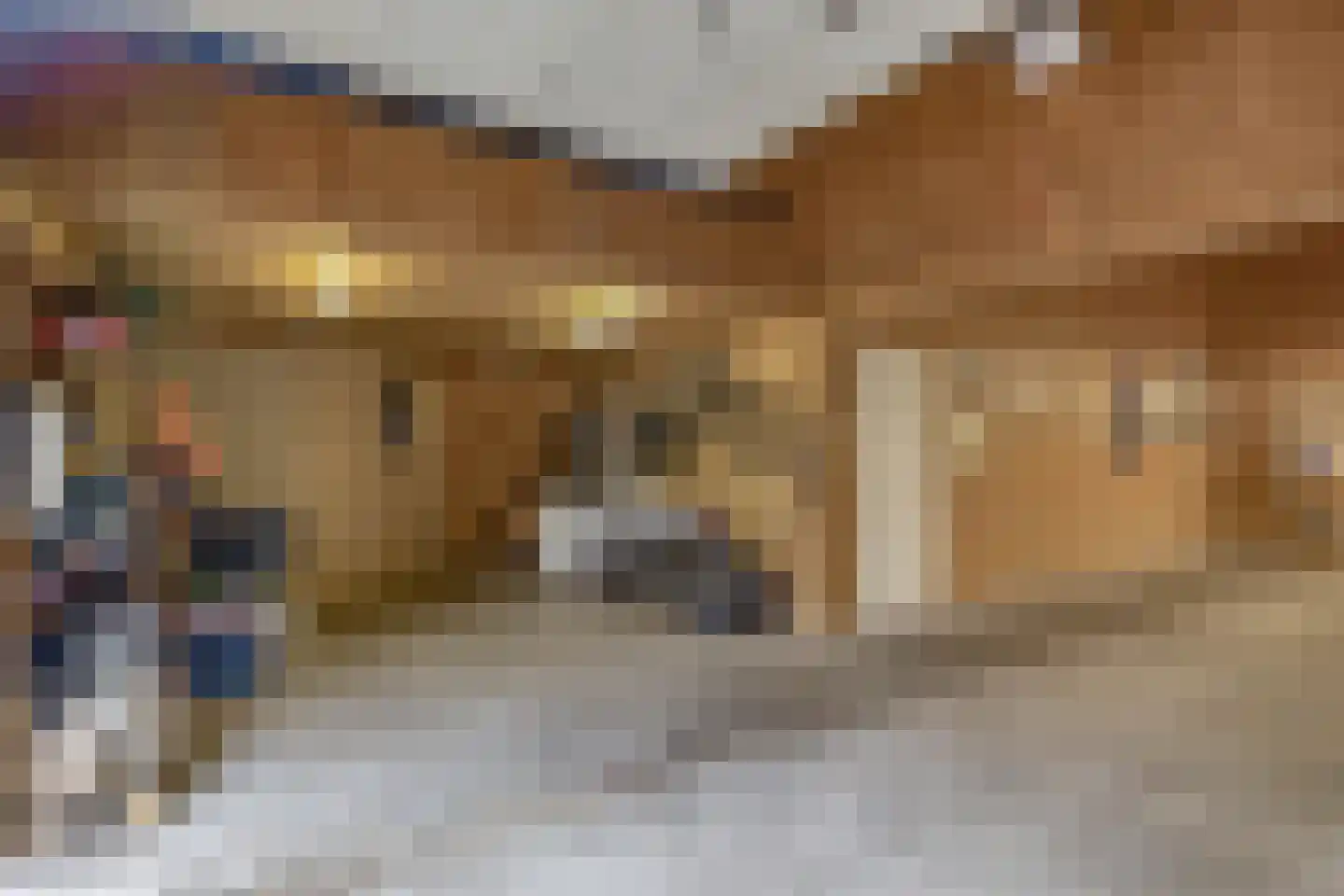 Nieuweweg 21 Melissant thumbnail 44