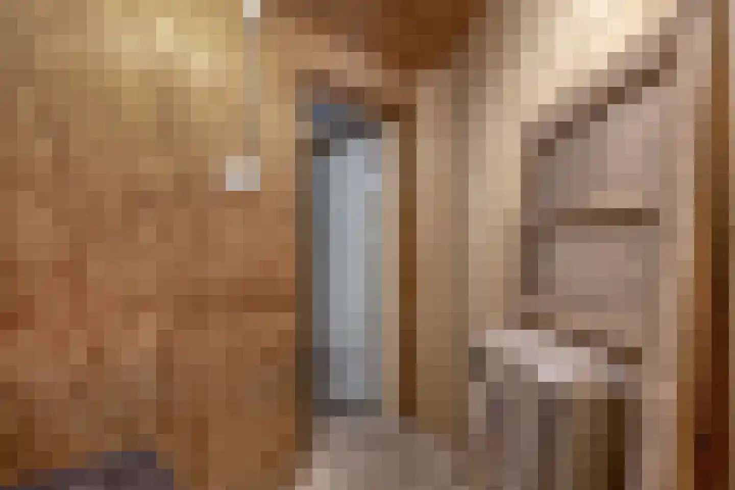 Nieuweweg 21 Melissant thumbnail 47