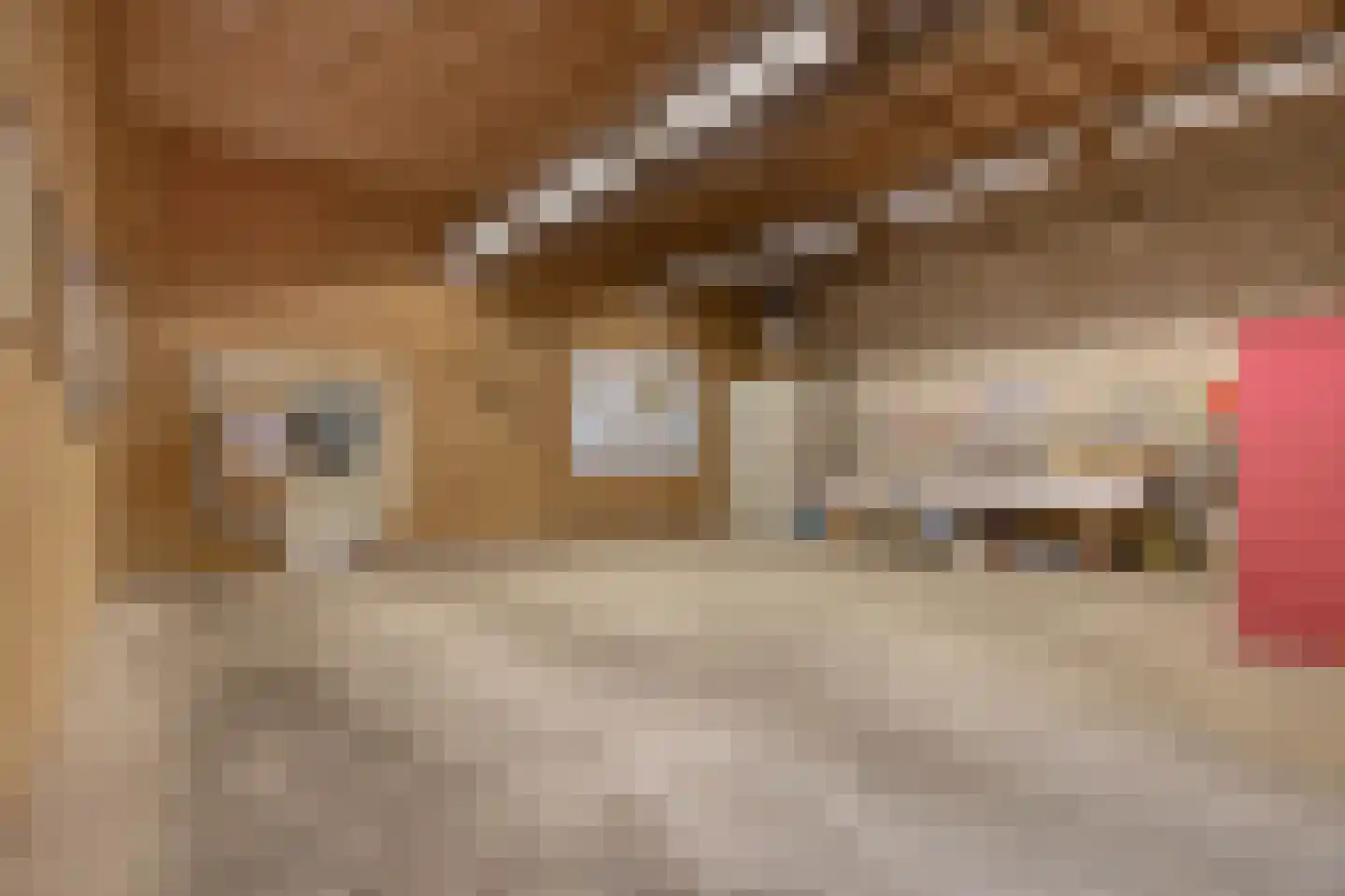 Nieuweweg 21 Melissant thumbnail 48