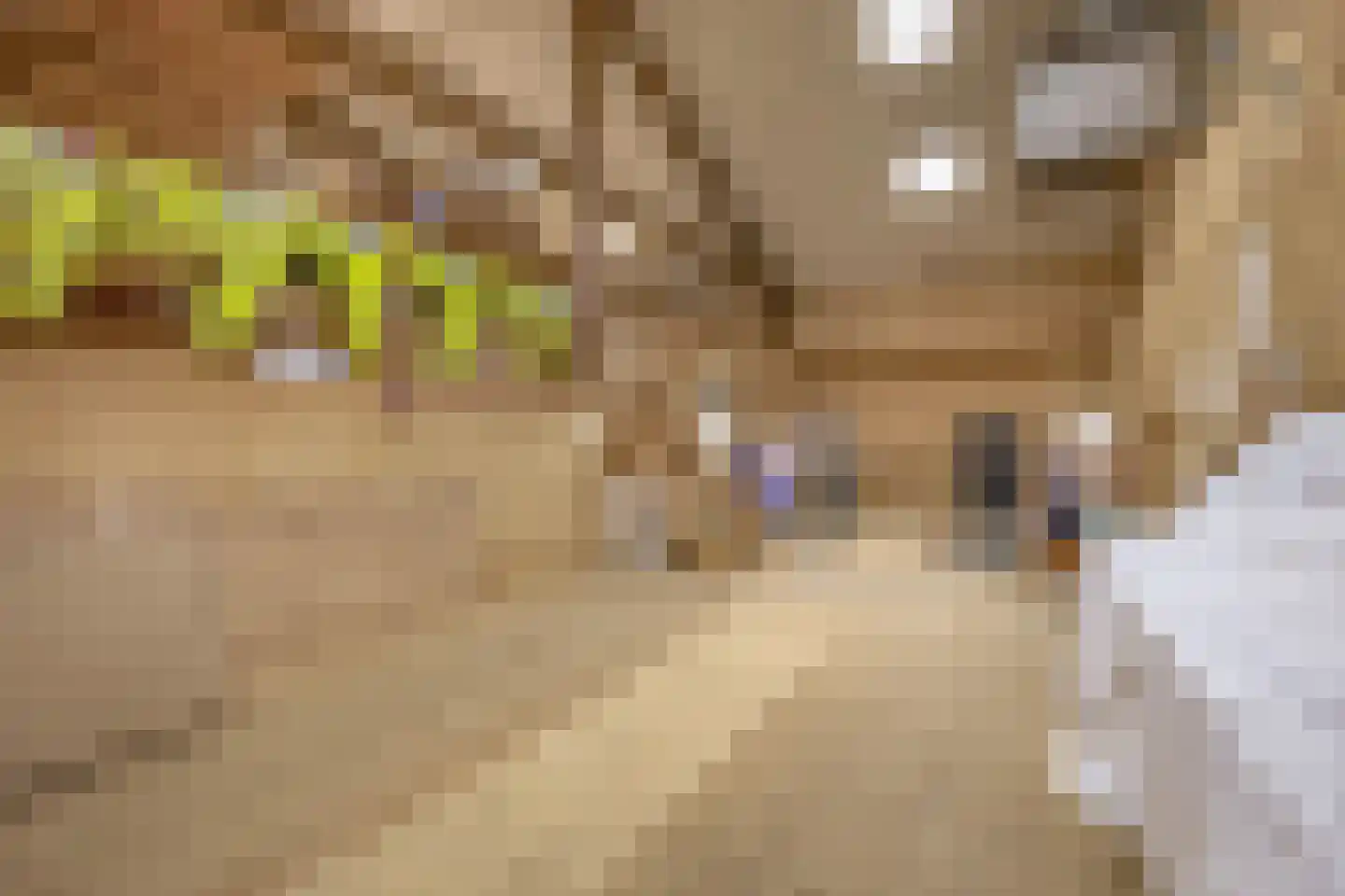Nieuweweg 21 Melissant thumbnail 51