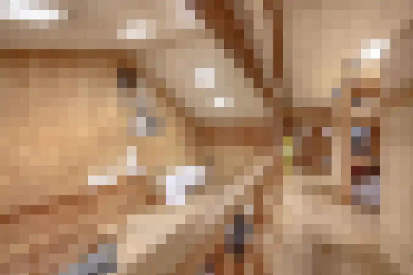 Nieuweweg 21 Melissant thumbnail 53