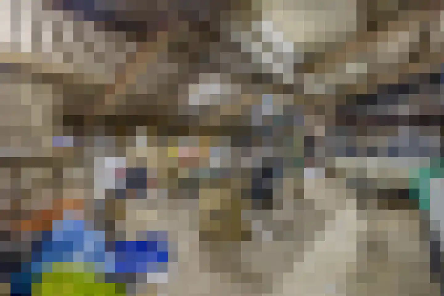 Nieuweweg 21 Melissant thumbnail 57