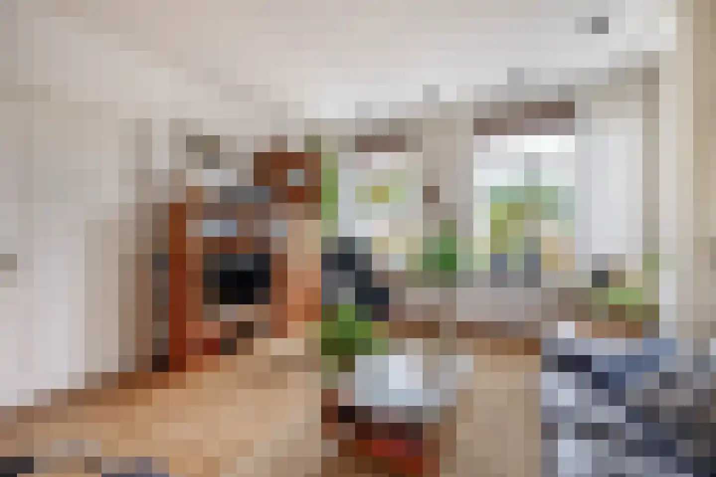 Nieuweweg 21 Melissant thumbnail 8