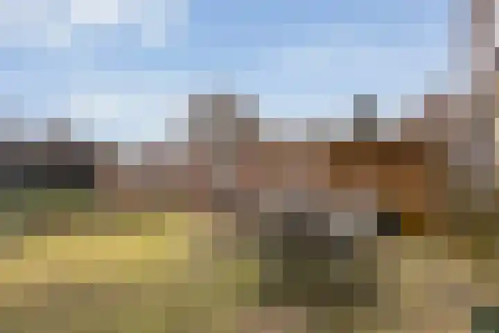 Nieuweweg 21 Nijeveen thumbnail 32