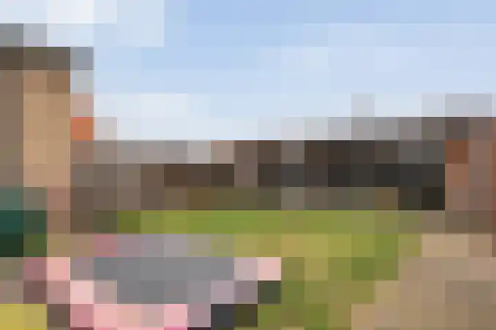 Nieuweweg 21 Nijeveen thumbnail 34
