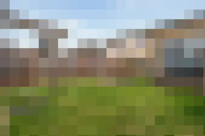 Nieuweweg 21 Nijeveen thumbnail 35