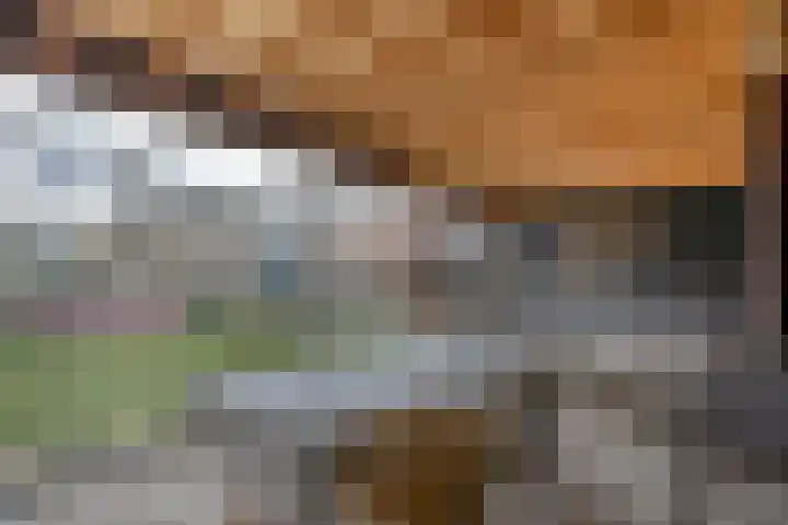 Nieuweweg 21 Nijeveen thumbnail 4
