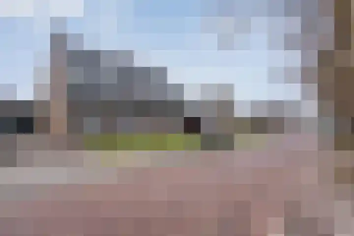 Nieuweweg 21 Nijeveen thumbnail 41