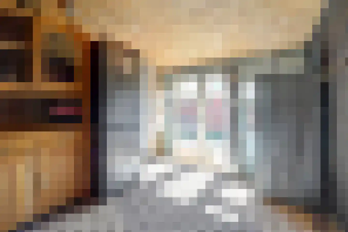 Nieuweweg 214 Doetinchem thumbnail 16